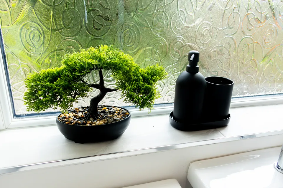 Bonsai and a soap dispenser on a windowsill at Sullivan Heights